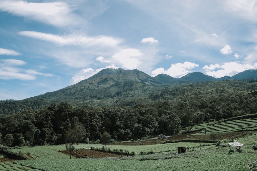 10 Tempat Wisata Malang yang Wajib Dikunjungi Sepanjang Tahun